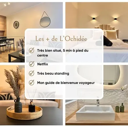 L'Orchidee - Netflix - Wi-Fi - Proche Centre Apartment Troyes Exterior photo