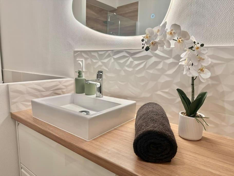 L'orchidee - Netflix - Wi-fi - Proche Centre Apartment Troyes