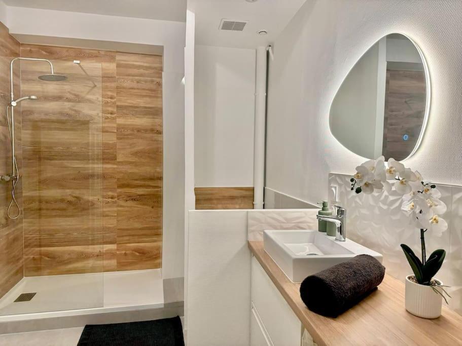 Apartment L'orchidee - Netflix - Wi-fi - Proche Centre